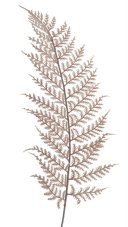 Umělý barvený list kapradí, dl. 57cm_11