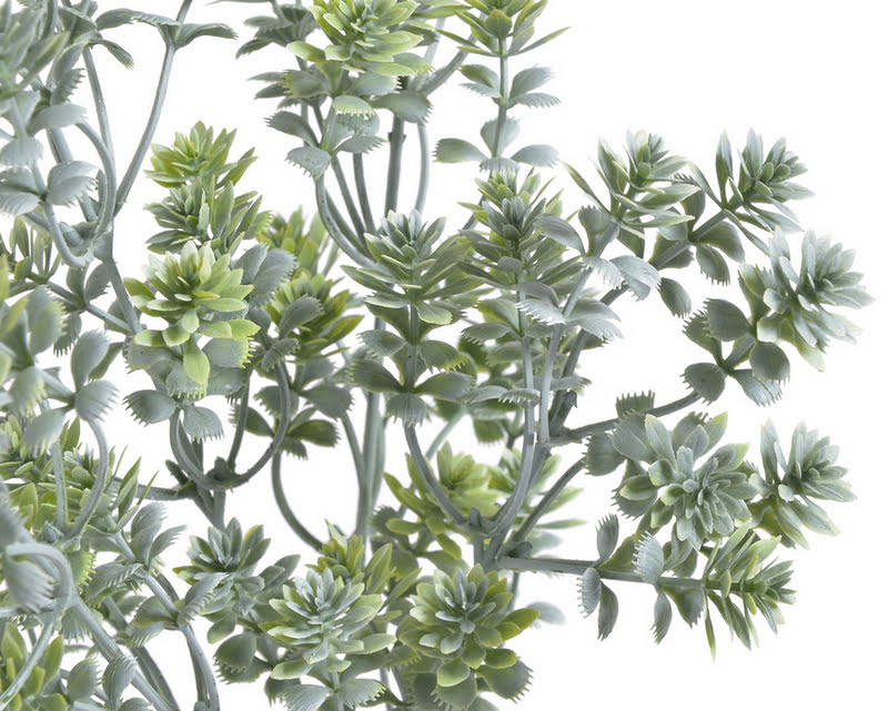 Rozchodník 32 cm, 5 větviček, barva 39