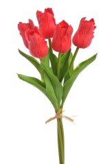 Tulipán papouščí 5 ks ve svazku s listy, 32 cm, barva 14