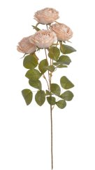Umělá usušená růže na stonku 4 květy  s listy,  hlavičky Ø 8cm, dl.64 cm