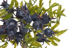 Svazek umělých větviček divoké růže s plody dl. 24cm -  3ks