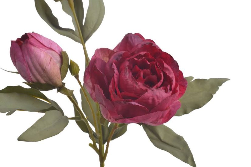 Umělá pivoňka na stonku s listy a poupaty, květ Ø 9 cm, dl. 55cm