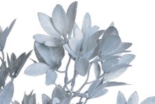 Umělá rostlina - větvička azalky s listy dl. 85cm_07