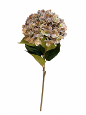 Umělá hortenzie s listy, hlava Ø 20cm, dl.80cm
