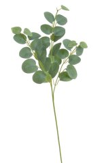 Umělý euklalytus dl. 64cm - zápich