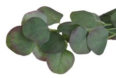 Umělá girlanda eukalyptus populus - lístek 5,5 cm, dl. 194cm