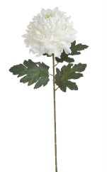 Chryzantéma na stonku s listy, 73 cm