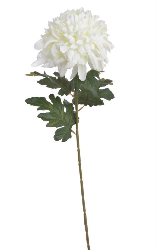 Chryzantéma na stonku s listy, 73 cm