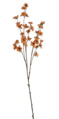 Kvetoucí větvička meruňková 105 cm