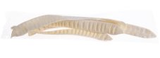 Přírodní dekorace step fruit blt 40-50cm - 5ks v bal