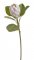 Umělý květ protea na stonku, květ 9cm/dl.67cm