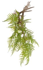 Dekorace umělé kapradí dl. 55cm -  převis