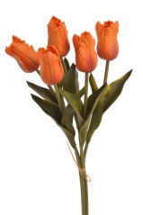 Tulipán papouščí 5 ks ve svazku s listy, 32 cm, barva 06
