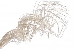 Přírodní barvené ratanové pruty s perličkami dl.60cm - 40ks