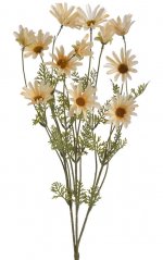 Kopretiny luční 60 cm, 3 výhony s květy - krémová 441