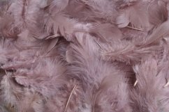 Přírodní barvené peří 7 - 12 cm, BEIGE_013